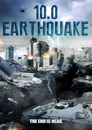 10.0 Earthquake 2014 Hindi Dual Audio 480p BluRay 300MB Movie Poster