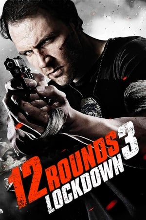 12 Rounds 3 Lockdown 2015 Hindi Dual Audio 480p BluRay 300MB Movie Poster