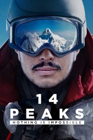 14 Peaks: Nothing Is Impossible (2021) Hindi Dual Audio 480p HDRip 350MB Movie Poster