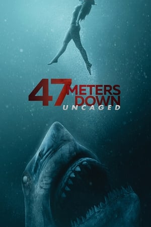 47 Meters Down: Uncaged (2019) Hindi Dual Audio 720p BluRay [950MB] Movie Poster