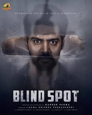 Blind Spot 2025 Hindi Dual Audio WEB-DL 720p – 480p – 1080p :: Bollyflix