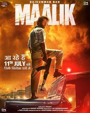 Maalik 2025 Hindi WEB-DL 720p - 480p - 1080p Movie Poster
