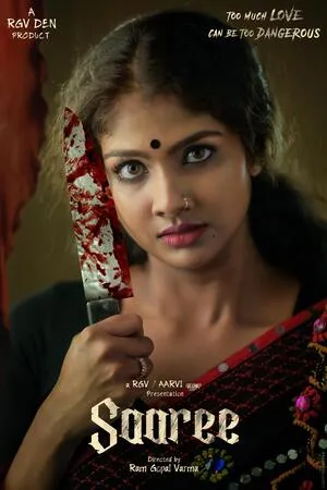 Saaree 2025 Hindi Dual Audio WEB-DL 720p - 480p - 1080p Movie Poster