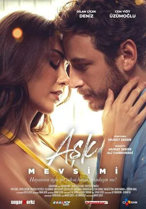 Season Of Love 2024 Hindi Dual Audio WEB-DL 720p - 480p - 1080p Movie Poster