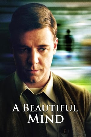 A Beautiful Mind 2001 Hindi Dual Audio 480p BluRay 450MB Movie Poster