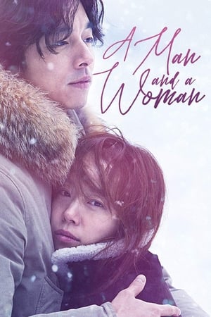 A Man and A Woman (2016) Hindi Dual Audio 720p BluRay [950MB] Movie Poster