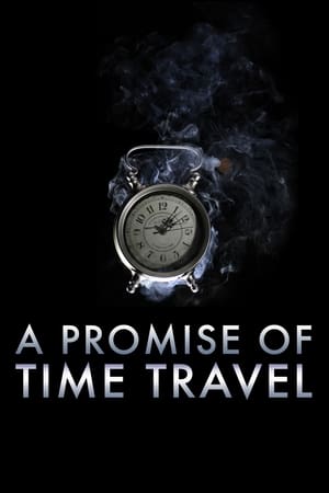 A Promise of Time Travel 2016 Hindi Dual Audio 720p Web-DL [750MB] Movie Poster