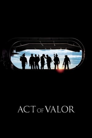 Act of Valor (2012) Hindi Dual Audio 720p BluRay [1.1GB] Movie Poster