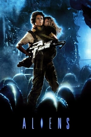 Aliens (1986) Movie Hindi Dual Audio 720p Bluray [1.0GB] Movie Poster