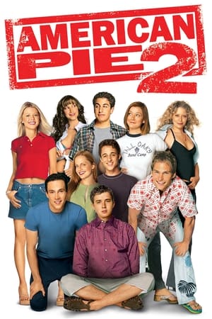 American Pie 2 (2001) Hindi Dual Audio 480p BluRay 375MB Movie Poster