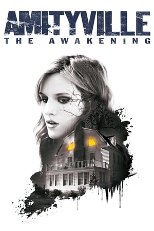 Amityville: The Awakening (2017) Hindi Dual Audio 720p BluRay [800MB] Movie Poster