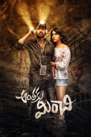 Anthaku Minchi (2018) Hindi Dubbed 720p HDRip [1GB] Movie Poster