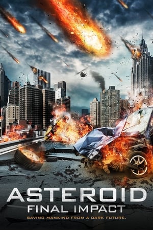 Asteroid: Final Impact (2015) Hindi Dual Audio 480p BluRay 290MB Movie Poster