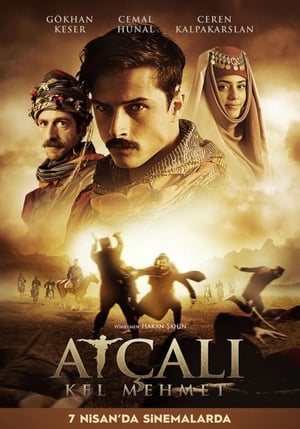 Atçali Kel Mehmet (2017) Hindi Dual Audio 480p HDTVRip 300MB Movie Poster