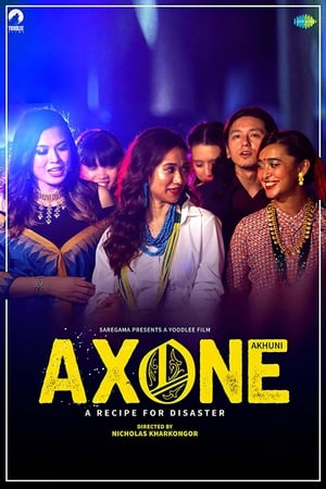 Axone 2019 Hindi Movie 480p HDRip – [300MB] Movie Poster