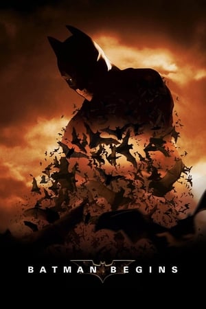 Batman Begins (2005) Hindi Dual Audio Bluray 720p [980MB] Download Movie Poster