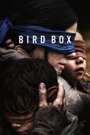 Bird Box 2018 Hindi (HQ DUBBED) Dual Audio 480p WebRip 380MB Movie Poster