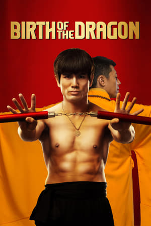 Birth of the Dragon (2016) Hindi Dual Audio 720p BluRay [1.2GB] Movie Poster