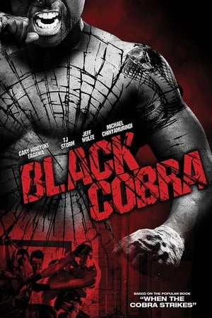 Black Cobra (2012) Hindi Dual Audio 480p BluRay 300MB Movie Poster