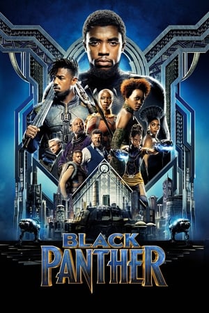 Black Panther (2018) Hindi Dual Audio BluRay Hevc [200MB] Movie Poster