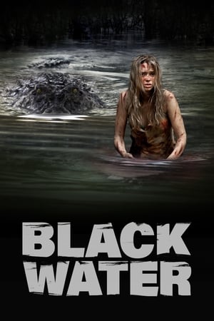 Black Water (2007) Hindi Dual Audio 480p BluRay 300MB Movie Poster