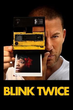 Blink Twice 2024 Hindi Dual Audio HDRip 1080p - 720p - 480p Movie Poster