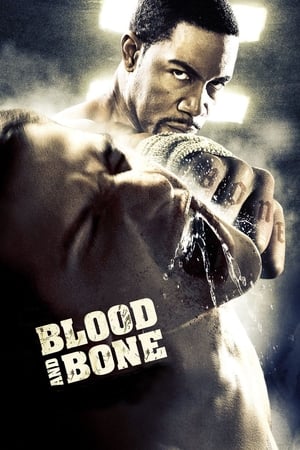 Blood and Bone (2009) Hindi Dual Audio 720p BluRay [950MB] Movie Poster