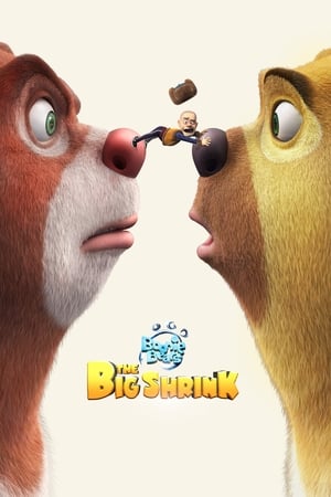 Boonie Bears The Big Shrink 2018 Hindi Dual Audio 480p HDRip 300MB Movie Poster