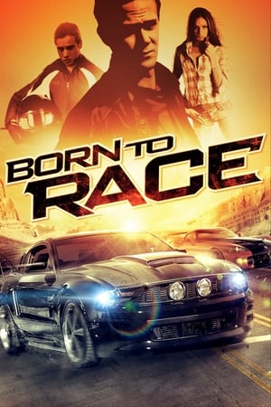 Born to Race 2011 Hindi Dual Audio 480p BluRay 300MB Movie Poster