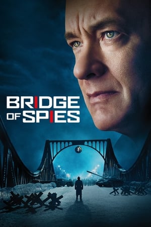 Bridge of Spies (2015) Hindi Dual Audio 480p BluRay 450MB Movie Poster