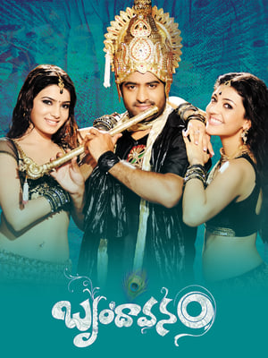 Brindavanam (The Super Khiladi) (2010) (Hindi – Telugu) Dual Audio 720p UnCut HDRip [1.4GB] Movie Poster