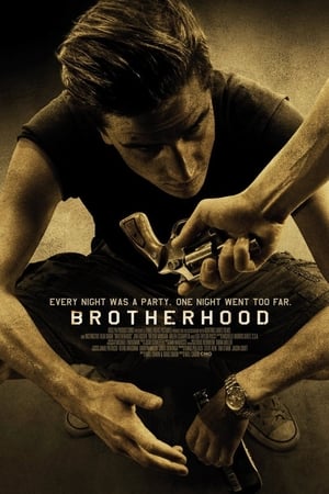 Brotherhood (2010) Hindi Dual Audio HDRip 720p – 480p Movie Poster