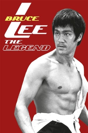 Bruce Lee the Legend 1984 Hindi Dual Audio 480p HDTVRip 300MB Movie Poster