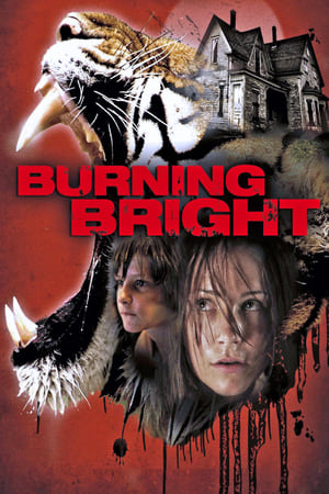 Burning Bright (2010) Hindi Dual Audio 720p BluRay [750MB] Movie Poster