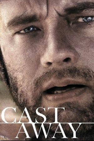 Cast Away 2000 Hindi Dual Audio 720p BluRay [1GB] ESubs Movie Poster