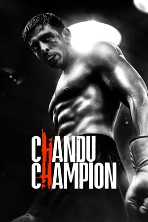 Chandu Champion 2024 Hindi HDRip 720p – 480p – 1080p