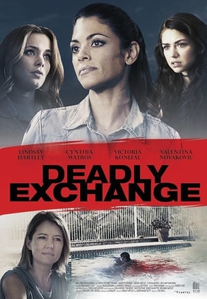 Deadly Exchange 2017 Hindi Dual Audio 480p BluRay 300MB Movie Poster