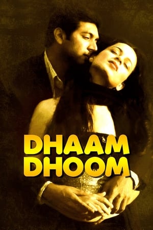 Dhaam Dhoom 2008 Dual Audio [Hindi - Tamil] 430MB UnCut 480p HDRip Download Movie Poster