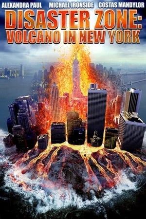 Disaster Zone Volcano in New York 2006 Hindi Dual Audio 480p HDRip 300MB Movie Poster