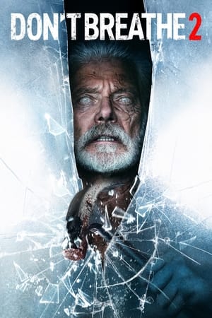 Don’t Breathe 2 (2021) Hindi Dual Audio 480p HDRip 400MB Movie Poster