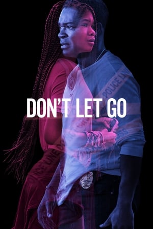 Don’t Let Go (2019) Hindi Dual Audio 480p HDRip 350MB Movie Poster