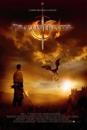 Dragon Hunter (2009) Hindi Dual Audio 480p BluRay 300MB Movie Poster