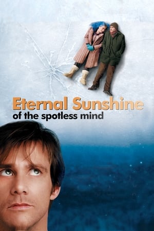 Eternal Sunshine Of The Spotless Mind 2004 Hindi Dual Audio 1080p BluRay [1.8GB] Movie Poster