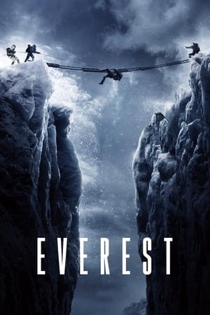 Everest (2015) Hindi Dual Audio 720p BluRay [1.3GB] Movie Poster