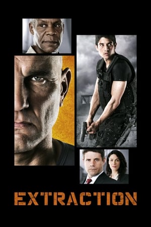 Extraction 2013 Hindi Dual Audio 720p WebRip [1.4GB] Movie Poster