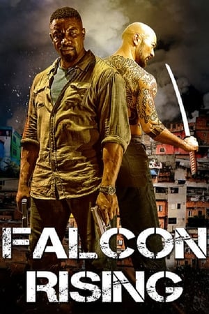 Falcon Rising (2014) Hindi Dual Audio 720p BluRay [980MB] Movie Poster