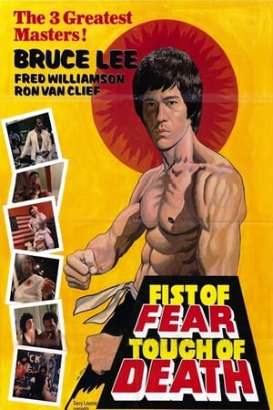 Fist of Fear Touch of Death 1980 Hindi Dual Audio 480p DVDRip 300MB Movie Poster