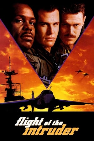 Flight Of The Intruder 1991 Hindi Dubbed 720p Movie Poster