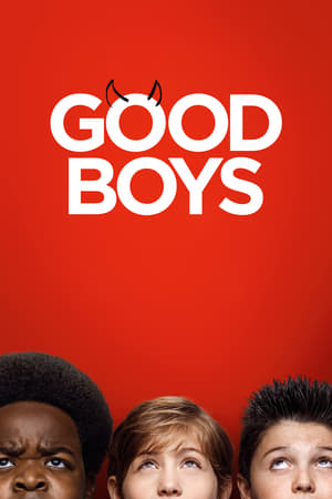 Good Boys (2019) Hindi Dual Audio 480p HDRip 400MB Movie Poster