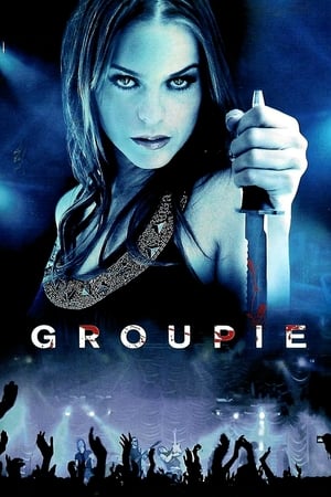 Groupie (2010) Hindi Dual Audio 720p BluRay [1.1GB] Movie Poster